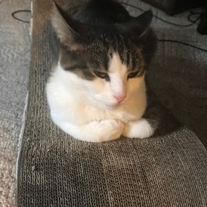 Meet your Posher, Rita